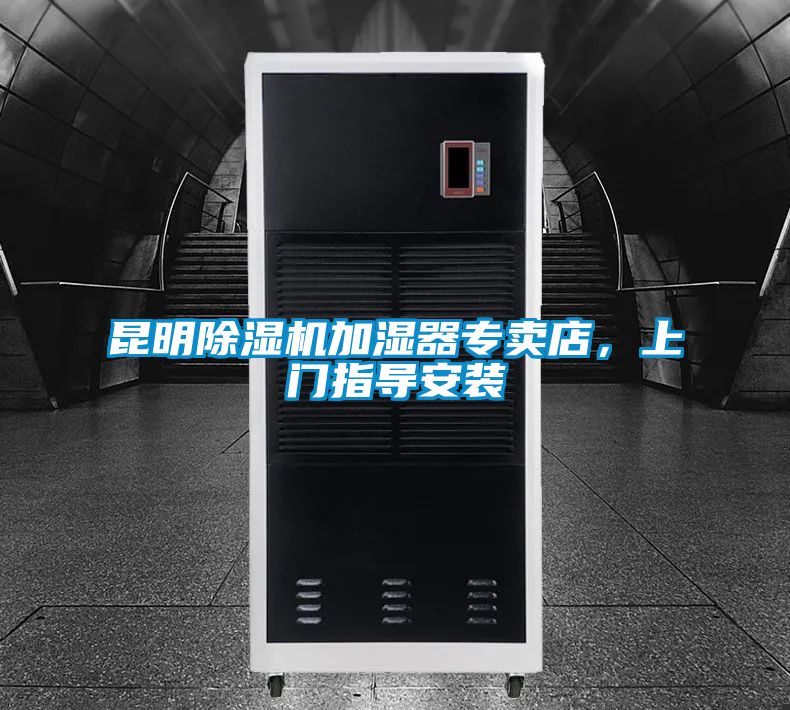 昆明除濕機(jī)加濕器專賣店,上門指導(dǎo)安裝