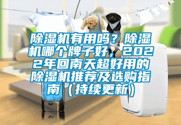 除濕機有用嗎?除濕機哪個牌子好,2022年回南天超好用的除濕機推薦及選購指南(持續更新)