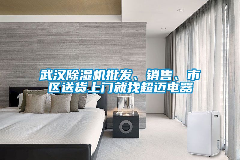 武漢除濕機批發、銷售、市區送貨上門就找超邁電器