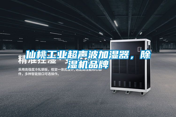 仙桃工業超聲波加濕器,除濕機品牌