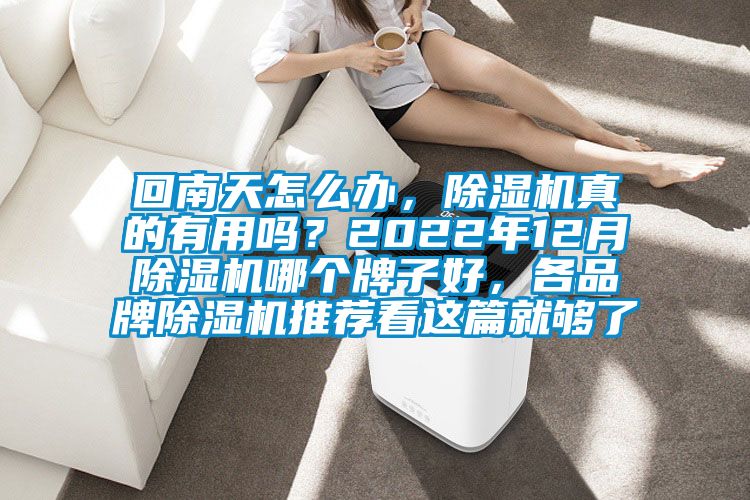 回南天怎么辦，除濕機真的有用嗎？2022年12月除濕機哪個牌子好，各品牌除濕機推薦看這篇就夠了