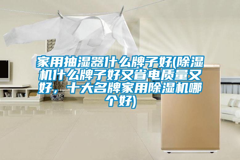 家用抽濕器什么牌子好(除濕機什么牌子好又省電質量又好,十大名牌家用除濕機哪個好)