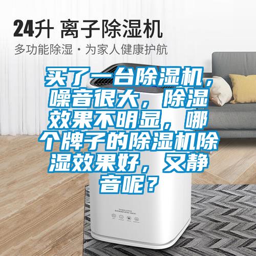 買了一臺除濕機，噪音很大，除濕效果不明顯，哪個牌子的除濕機除濕效果好，又靜音呢？