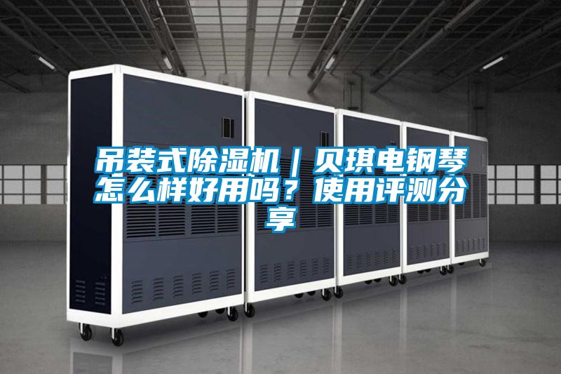 吊裝式除濕機(jī)|貝琪電鋼琴怎么樣好用嗎?使用評測分享