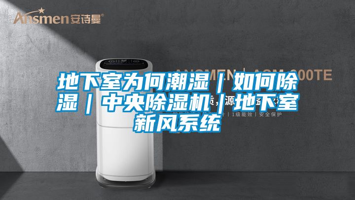 地下室為何潮濕｜如何除濕｜中央除濕機｜地下室新風系統(tǒng)