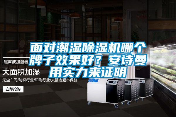 面對潮濕除濕機哪個牌子效果好?安詩曼用實力來證明