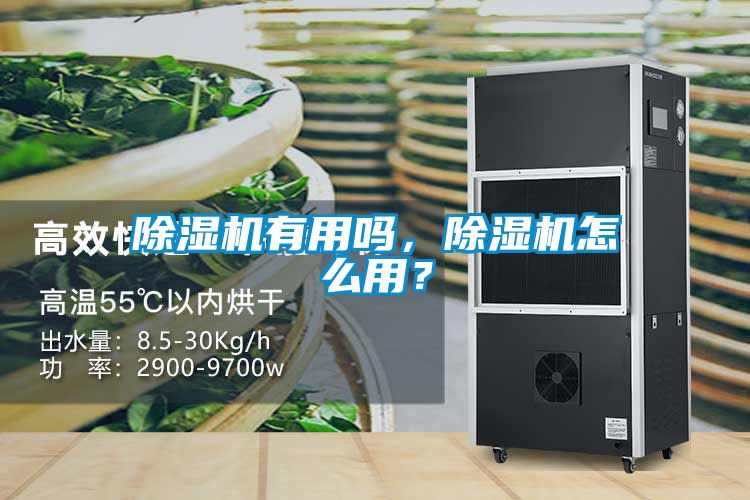 除濕機有用嗎,除濕機怎么用?
