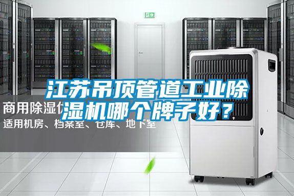 江蘇吊頂管道工業除濕機哪個牌子好?