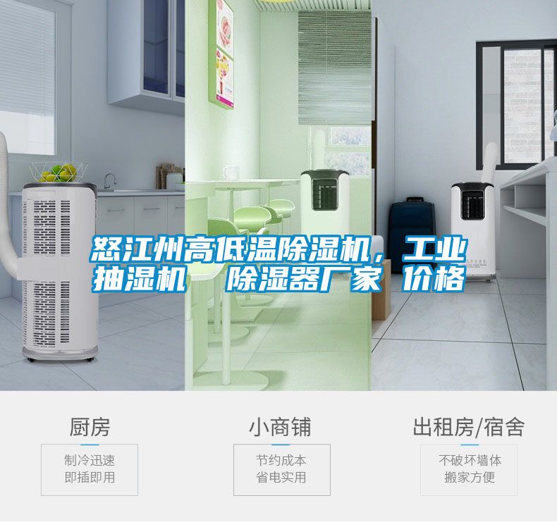 怒江州高低溫除濕機(jī),工業(yè)抽濕機(jī) 除濕器廠家 價(jià)格