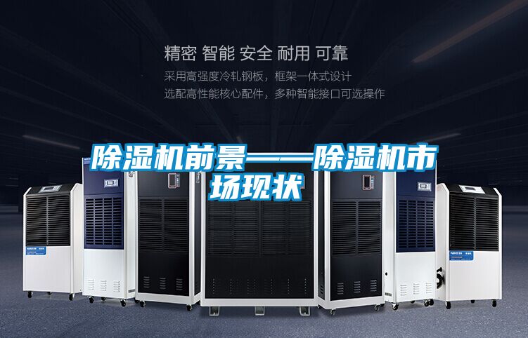 除濕機(jī)前景——除濕機(jī)市場現(xiàn)狀