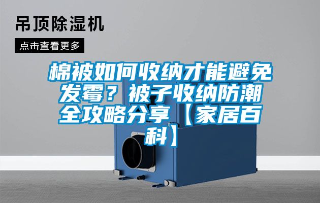 棉被如何收納才能避免發霉？被子收納防潮全攻略分享【家居百科】