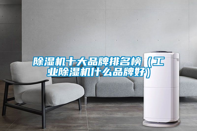 除濕機十大品牌排名榜(工業除濕機什么品牌好)