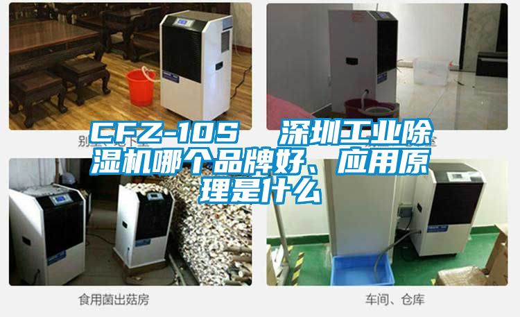 CFZ-10S 深圳工業除濕機哪個品牌好、應用原理是什么