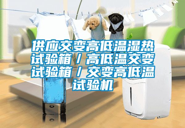 供應交變高低溫濕熱試驗箱/高低溫交變試驗箱/交變高低溫試驗機
